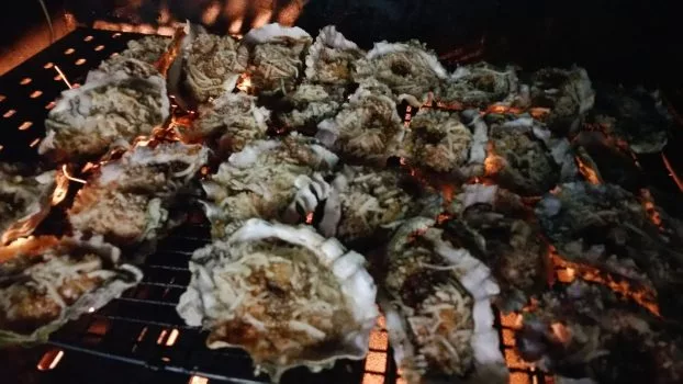grilled oysters